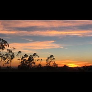 Meet your Posher, Sadie